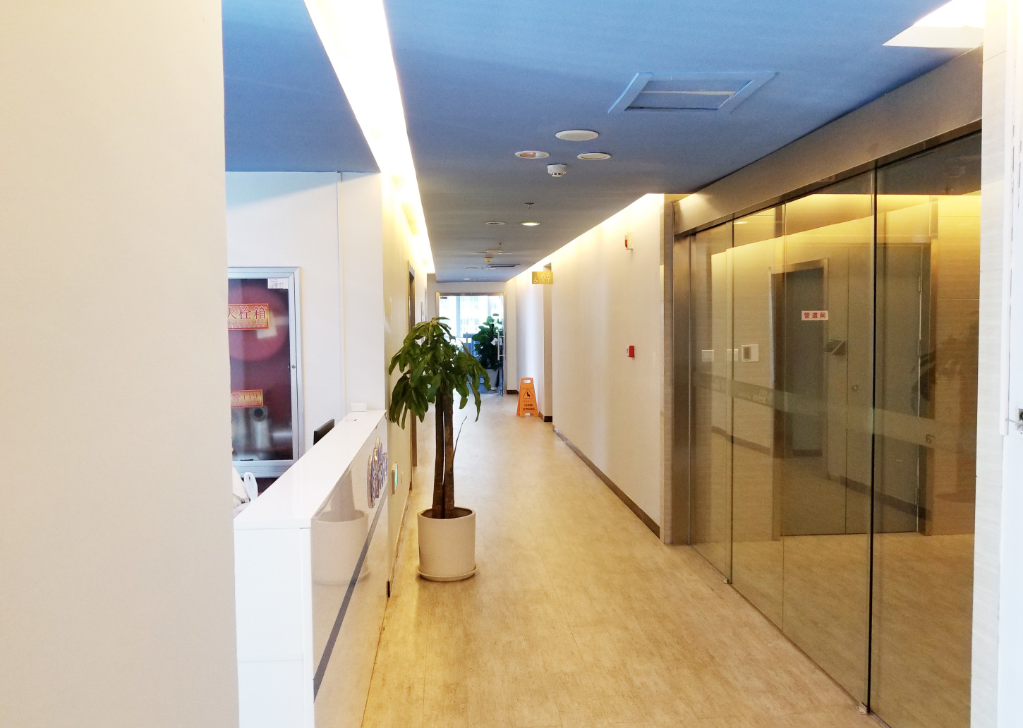 The hallway
